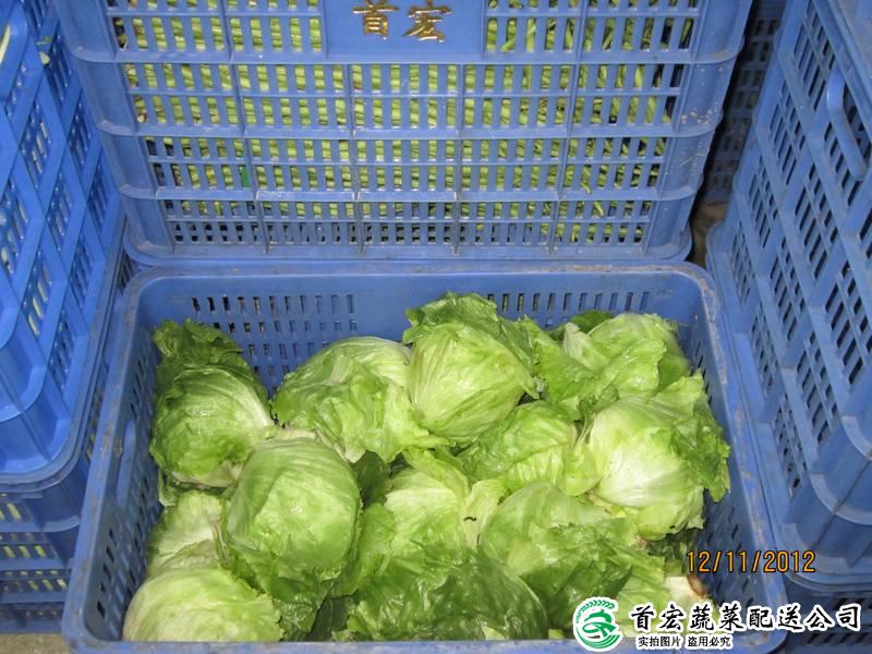 常平 蔬菜配送網(wǎng)