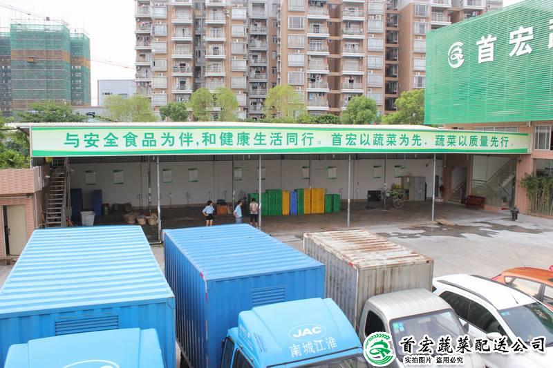 東莞專業(yè)蔬菜配送