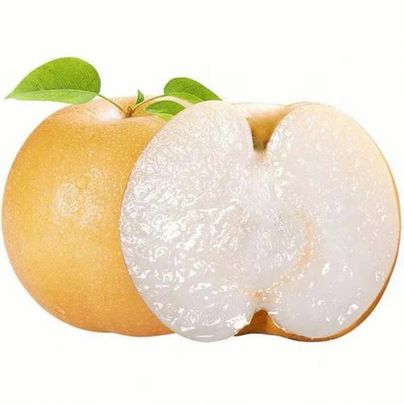 初春需要預(yù)防腦血管疾病發(fā)生早春