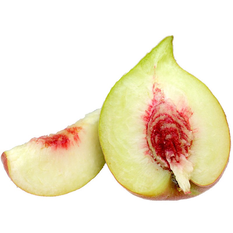 春季養(yǎng)生粥